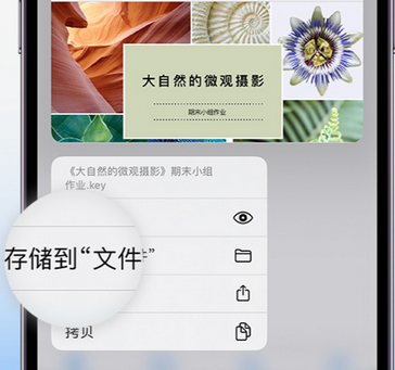 永福apple维修中心分享iPhone文件应用中存储和找到下载文件