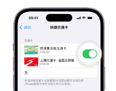 永福apple维修点分享iPhone上更换Apple Pay快捷交通卡手绘卡面 