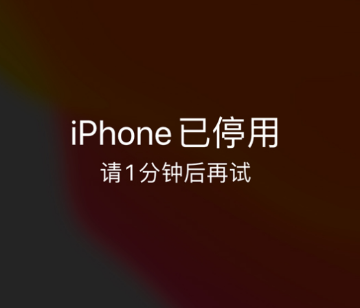 永福苹果手机维修分享:iPhone 显示“不可用”或“已停用”怎么办？还能保留数据吗？ 