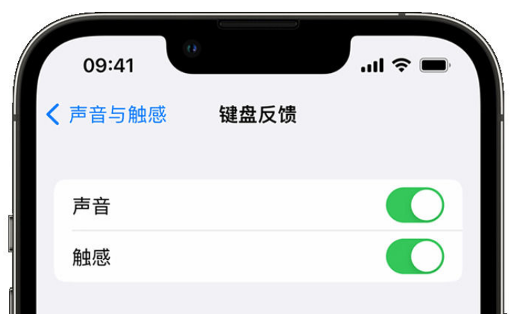 永福苹果手机维修分享iPhone 14触感键盘使用方法 