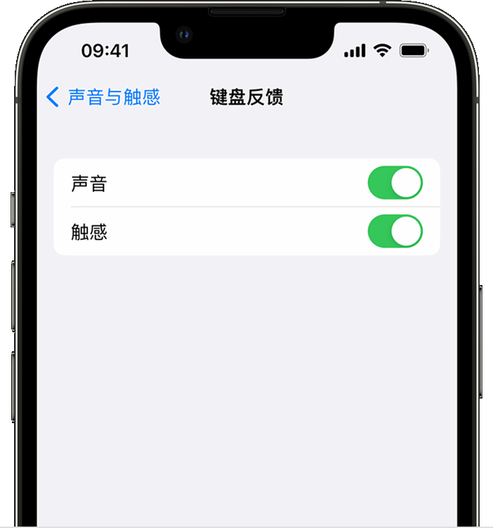 永福苹果14维修店分享如何在 iPhone 14 机型中使用触感键盘 