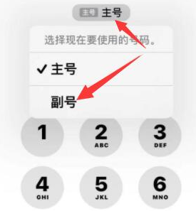 永福苹果14维修店分享iPhone 14 Pro Max使用副卡打电话的方法 