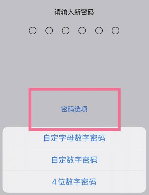 永福苹果14维修分享iPhone 14plus设置密码的方法 