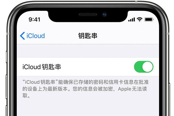 永福苹果手机维修分享在 iPhone 上开启 iCloud 钥匙串之后会储存哪些信息 