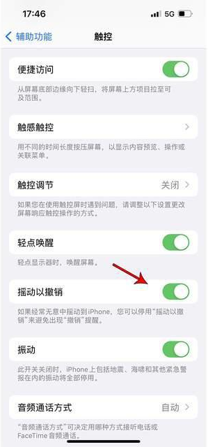 永福苹果手机维修分享iPhone手机如何设置摇一摇删除文字 