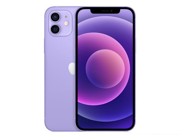 永福苹果手机维修分享现阶段要不要入手紫色版iPhone12 